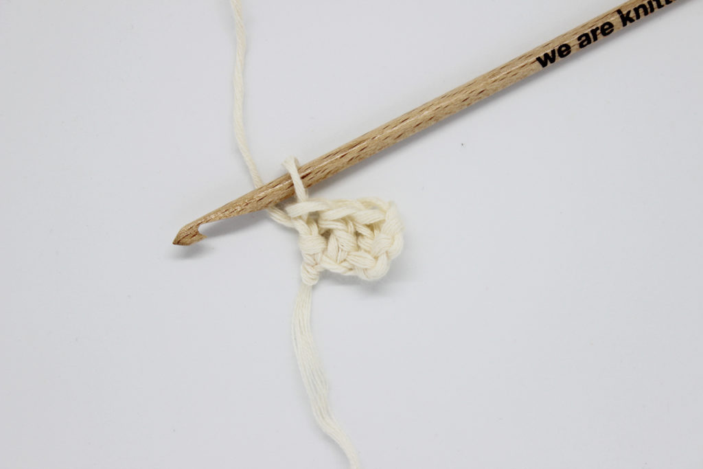 Image: photo-5